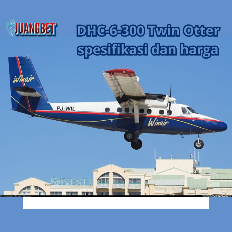 ilustrasi DHC-6-300 Twin Otter