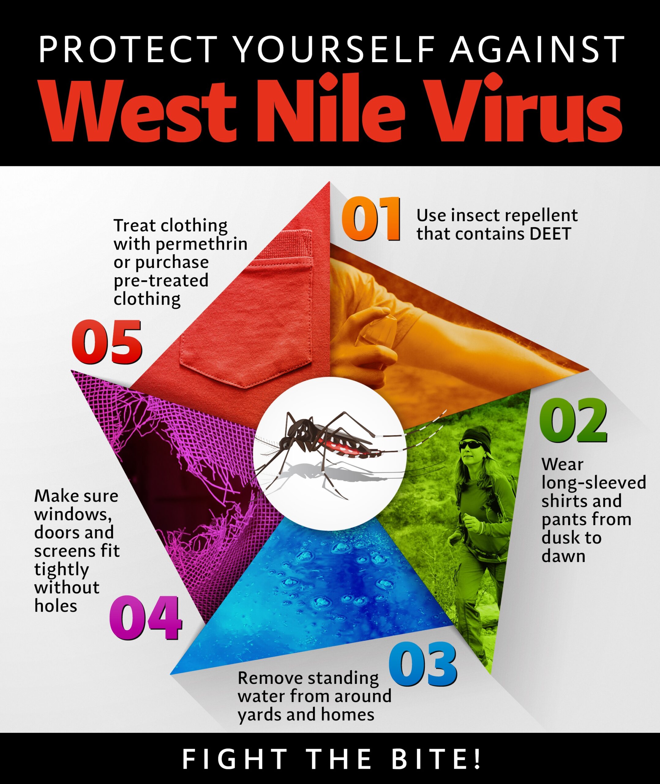 Mengerikan Virus West Nile 2024