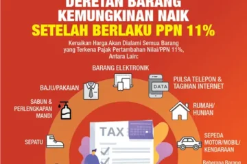Efek Penerapan PPN 12% Peluang Baru